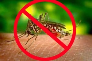 Rashtriya Dhwaj | डेंगू से बचाव के लिए लोगों को जागरूक कर रहा है स्वास्थ्य...